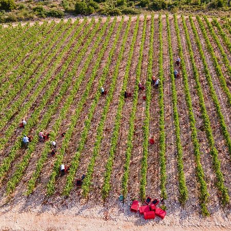 Winery Rizman B&B Slivno Ravno 외부 사진